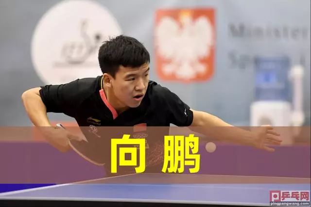 从而推动该 从而推动该